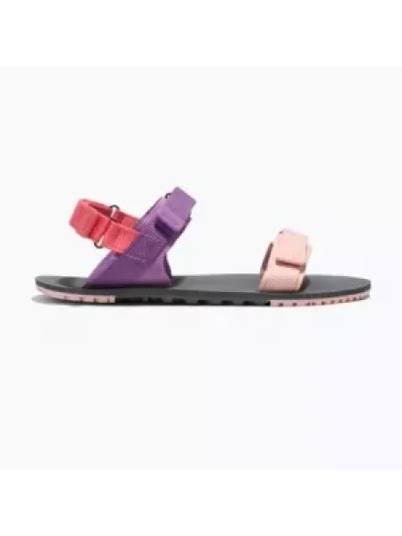 Босоніжки Xero Shoes D-Trail devberry/multi
