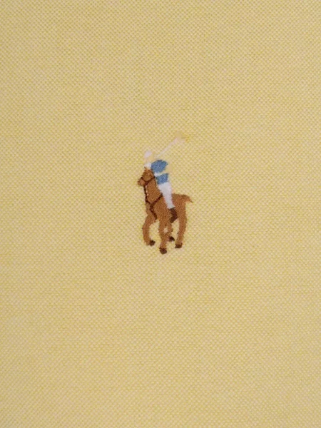 Суитчър Polo Ralph Lauren с връзки синьо