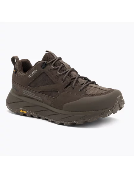 Încălțăminte de trekking pentru bărbați Jack Wolfskin Terraquest Texapore Low gecko bear