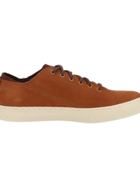 Tenisky Timberland hnedá