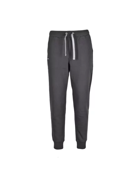 Spodnie dresowe Blauer szare