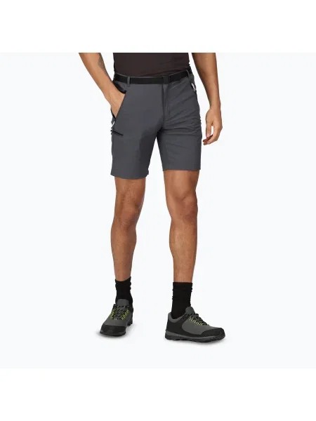 Pantaloni scurți de trekking pentru bărbați Regatta Xert Stretch III seal grey gri