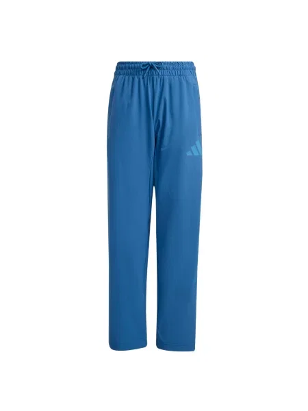 ADIDAS SPORTSWEAR Sportske hlače Z.N.E. / azur plava