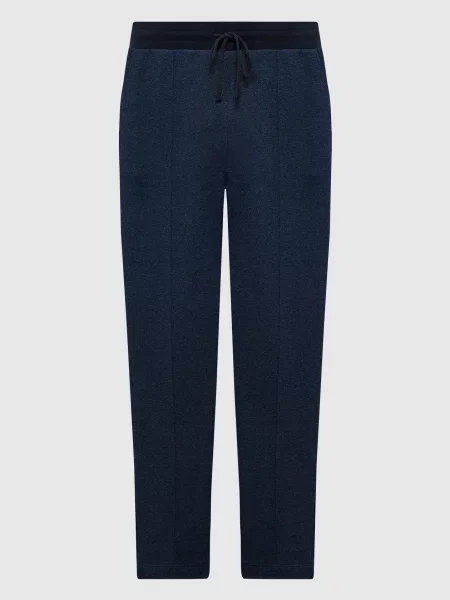 Меланжеві спортивні штани Canali сині