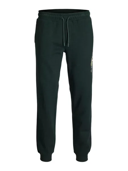JACK & JONES Pantaloni JPSTGORDON crem verde închis galben