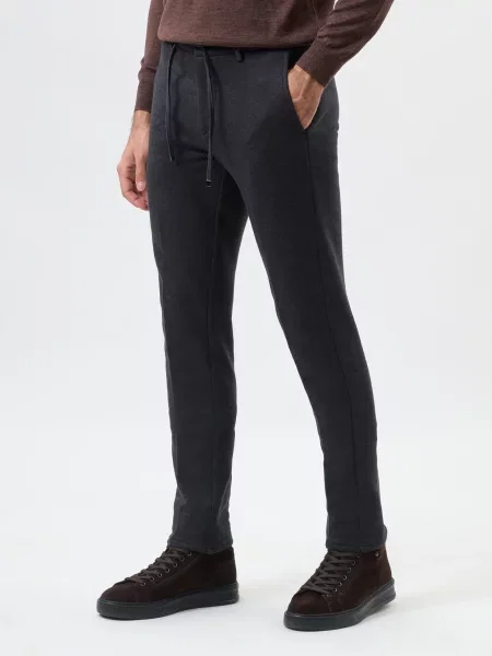 Штани Berwich сірі