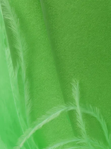Bluză Verguenza cu pene verde