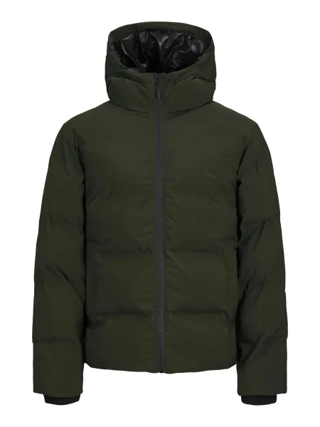 JACK & JONES Geacă de iarnă JJPAYNE închis verde