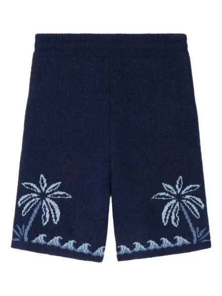 Kraťasy Alanui modré