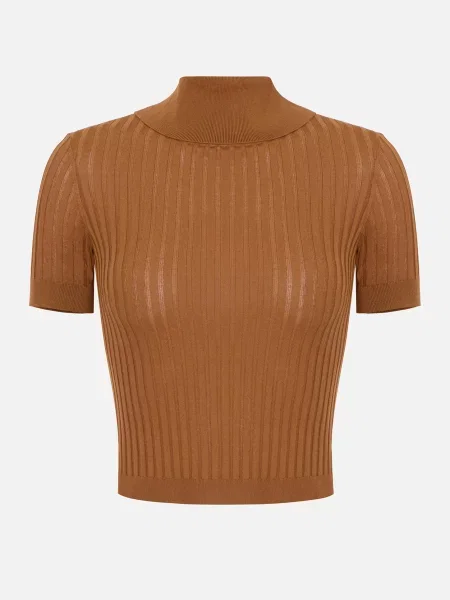 Топ Elisabetta Franchi коричневый
