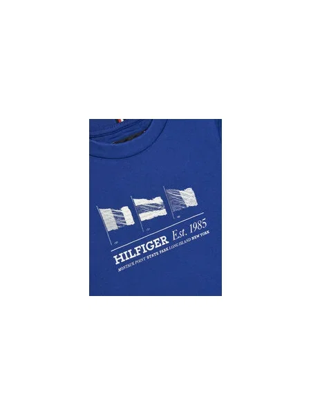 Tommy Hilfiger Póló S Regular Fit kék