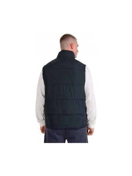 Vestă 4f