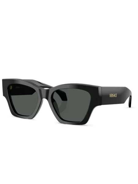 Ochelari de soare Versace Eyewear cu imagine negru