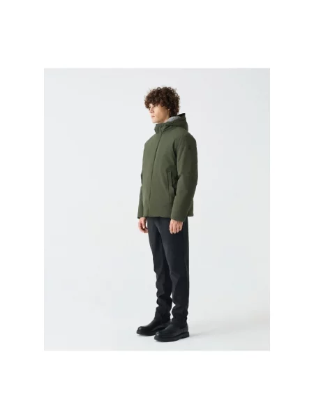 Palton Suns verde
