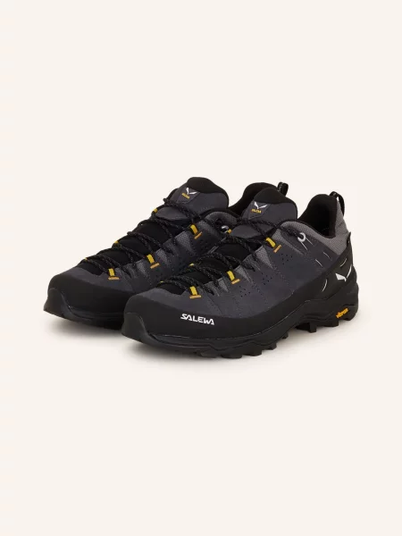 Salewa Turistické Boty Alp Trainer 2 Gtx černá šedé