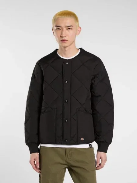Демісезонна куртка Dickies чорний