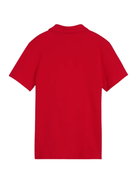 PUMA Tricou funcțional TeamGoal roșu alb