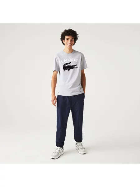 Футболка Lacoste серая