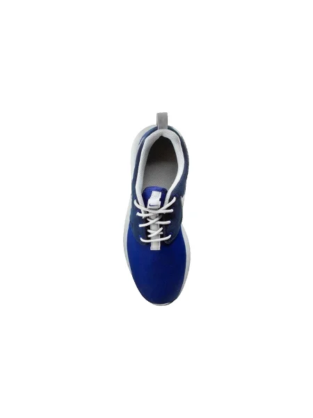 Pantofi Nike albastru