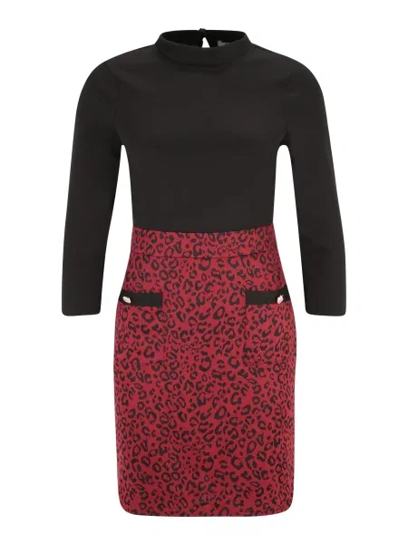 Dorothy Perkins Petite Rochie roșu negru