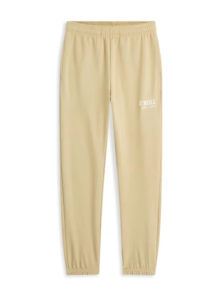 O'NEILL Pantaloni outdoor bej