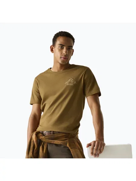Tricou pentru bărbați Regatta ClineIX rich tan original outdoor maro