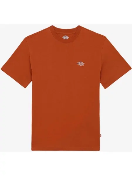 Koszulka z krótkim rękawem Dickies Summerdale S pomarańczowa