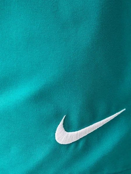 Шорты Nike