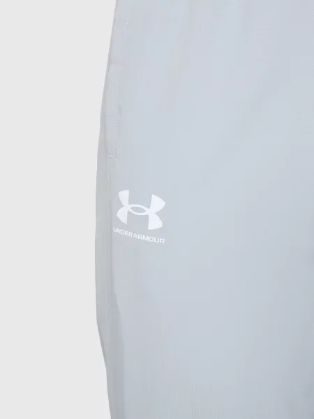 Штани Under Armour сірі