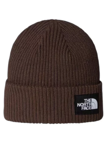 Czapka Mężczyzna THE NORTH FACE SALTY LINED BEANIE brązowa