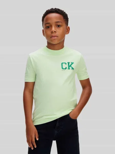T-shirt o kroju regular fit z czystej bawełny model CHEST' Calvin Klein Jeans