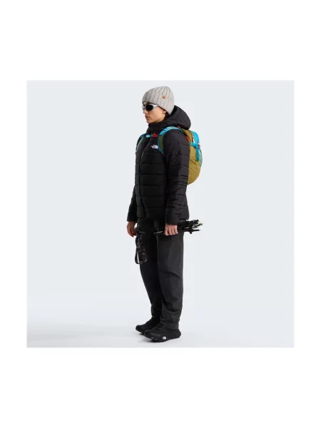 THE NORTH FACE Geacă outdoor ACONCAGUA' negru