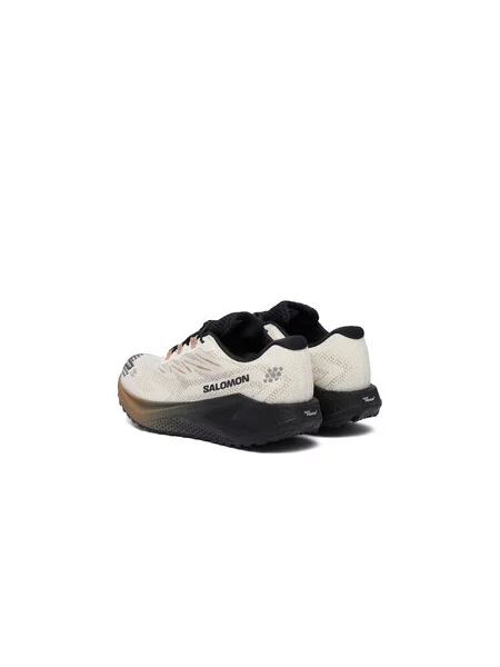Tenisice za trčanje Salomon Aero Blaze 4 gtx GORE-TEX bež