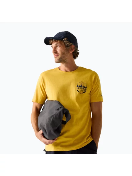 Мъжка тениска Regatta ClineIX ceylon yellow жълто