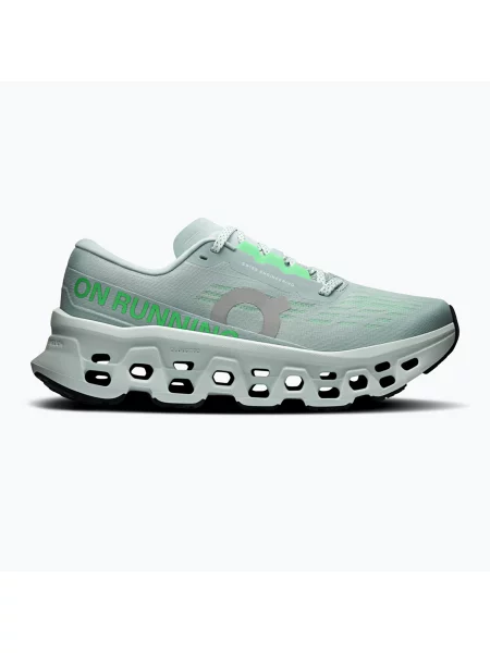 Încălțăminte de alergare pentru femei On Cloudmonster 3 brook/flurry