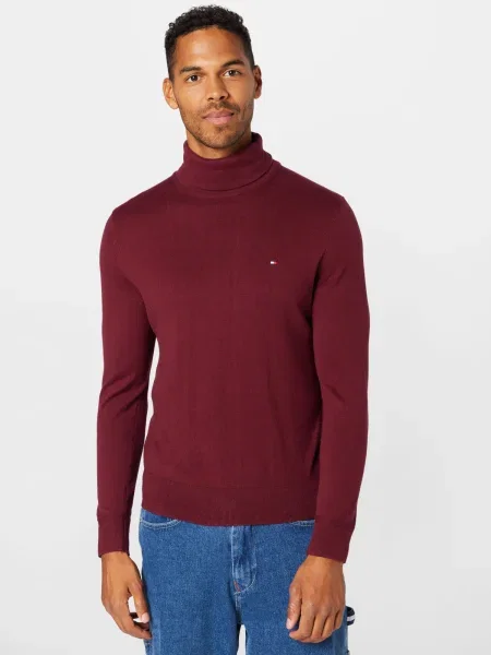TOMMY HILFIGER Pulover mornarska / bordo bela
