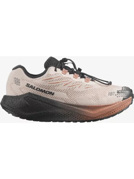 Buty do biegania Salomon Aero Blaze 4 Grvl GORE-TEX beżowy 36 czarny