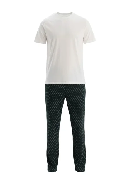 Dagi Pijama lungă gri deschis / verde pin alb