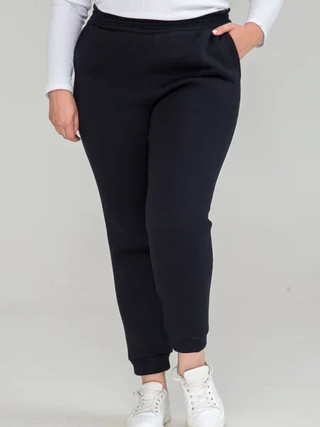 Джоггеры All Posa синие