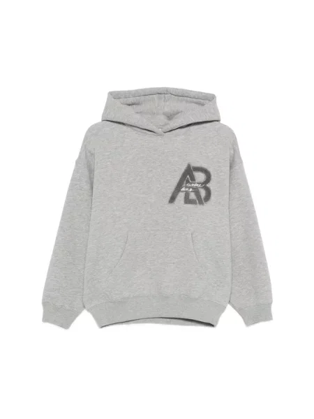 Bluza z kapturem Anine Bing szara