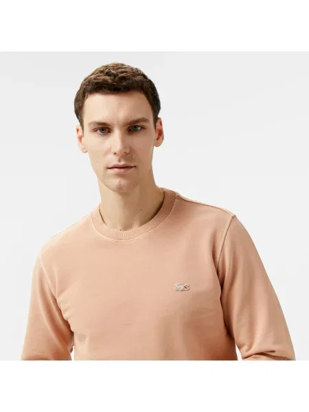 Lacoste Bluza Kolorowy