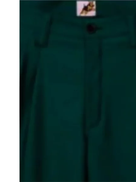 Golf pantaloni scurți Golf Le Fleur* verde