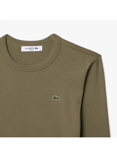 Lacoste Koszulka Z Długim Rękawem W Prążki zielona