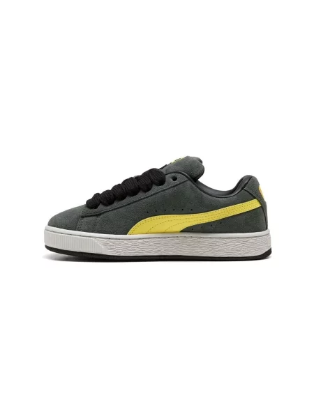 Pantofi copii Puma gri
