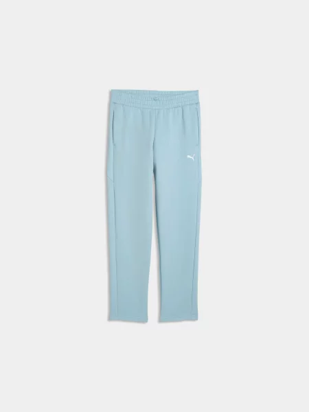 Спортивные штаны Puma синие