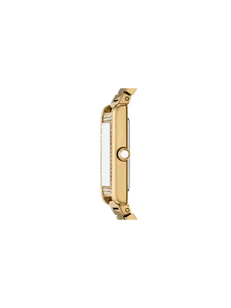 Prozirne satovi Emporio Armani zlatna