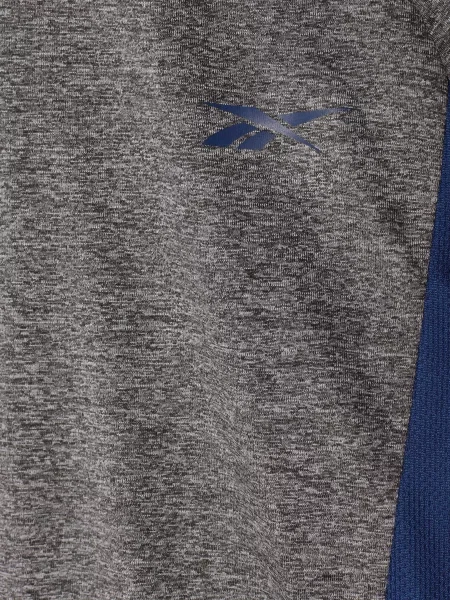 Дитяча Футболка Reebok сірий