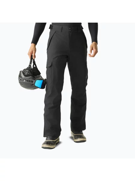 Pantaloni de schi pentru bărbați Dare 2b Baseplate Insulated Pant black negru