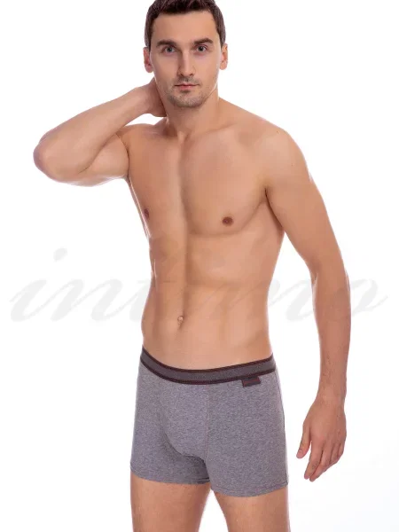 Боксеры Jolidon серые