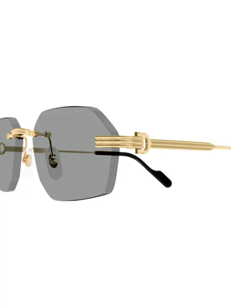 Sunčane naočale Cartier Eyewear